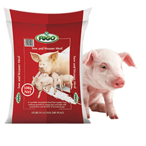 Sow and Weaner Meal