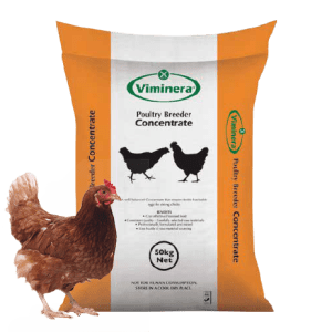 Poultry Breeder Concentrate