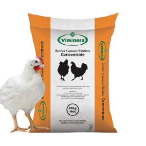 Broiler Grower/ Finisher
