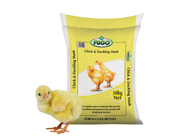 Chick-and-Duckling-mash