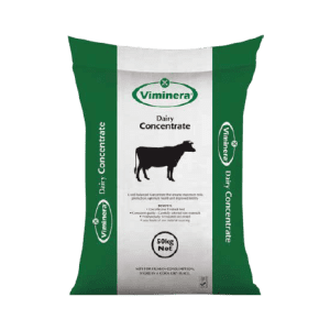Dairy Concentrate