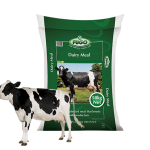 Dairy Meal