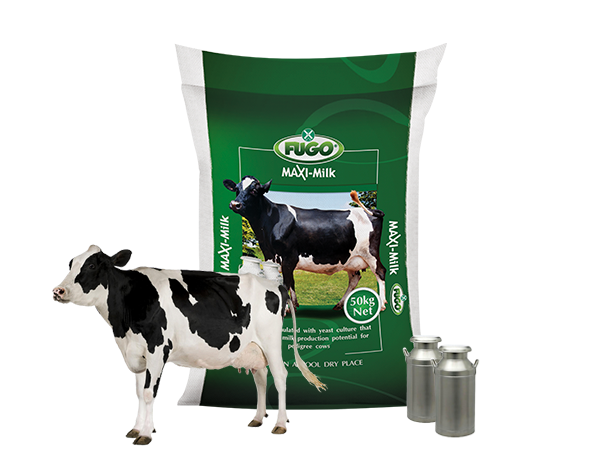 Fugo Heifer Gro Meal