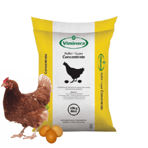 Pullet Layer Concentrate