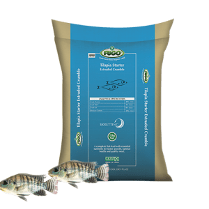 Tilapia Starter Extruded Crumble