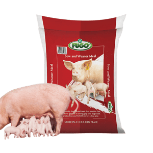 Sow & Weaner
