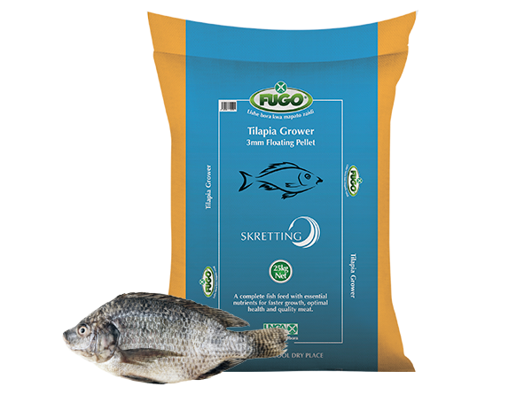 tilapia-grower
