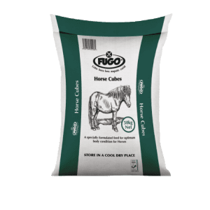 Horse Cubes